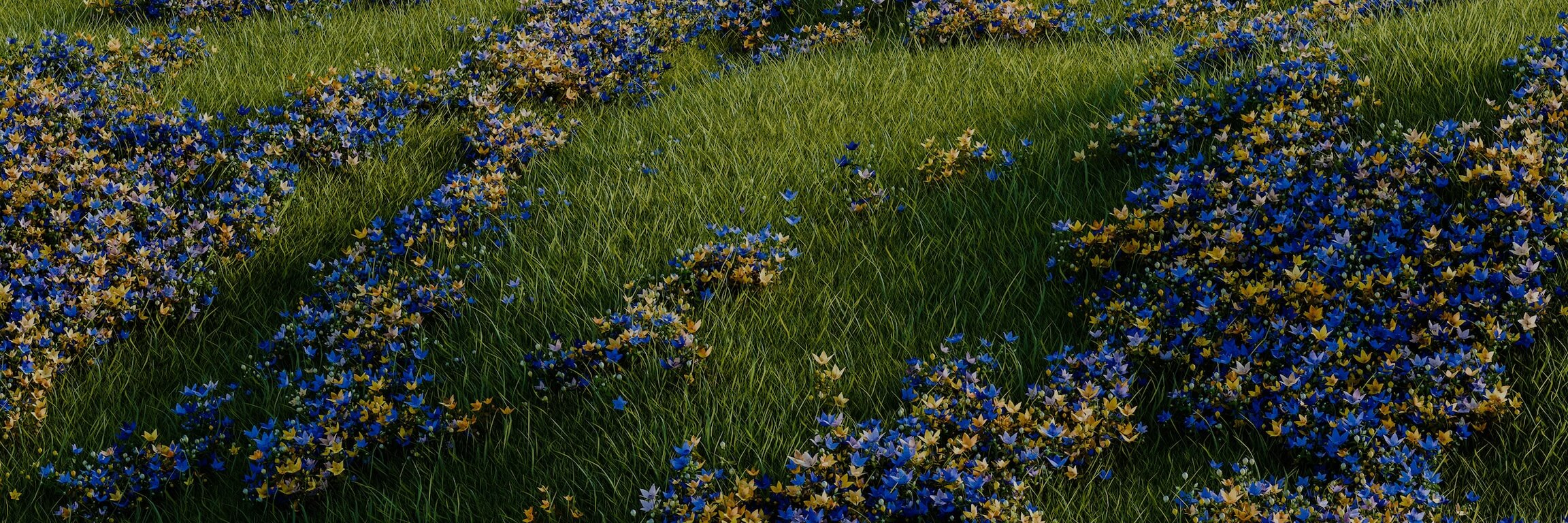 Wildflowers across green rolling hills